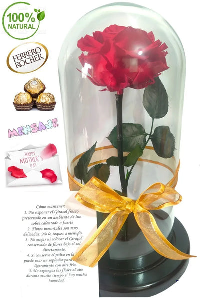 Rosa Preservada Regalo Cúpula Vidrio Color Rojo + Tarjeta - Todos