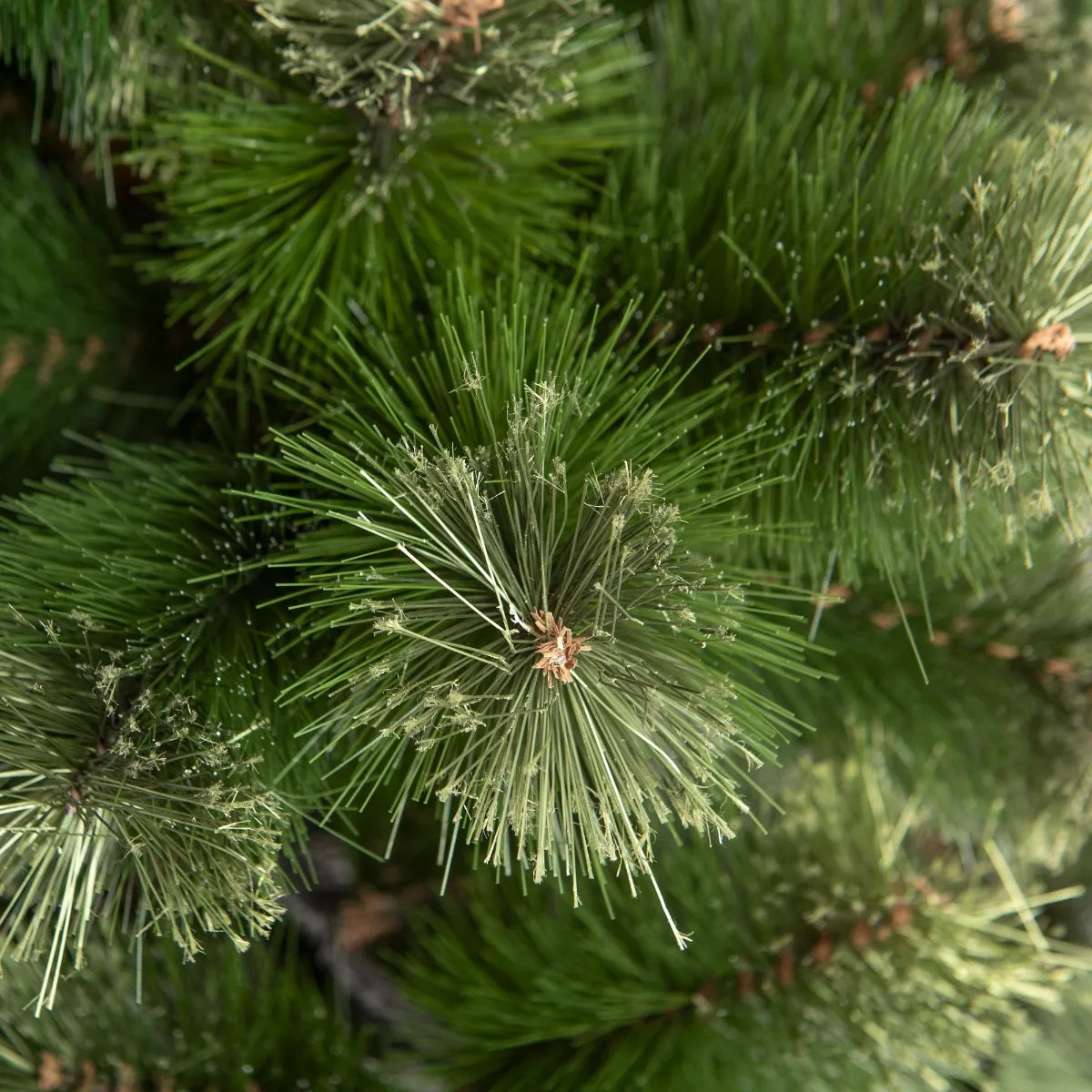 Pino Noruega Árbol De Navidad 2.25m 592 Puntas Frondoso Verde Claro