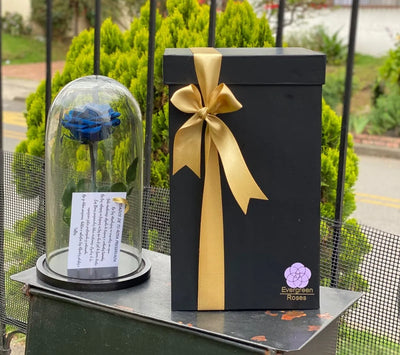 Rosa Preservada Cúpula Vidrio Caja Regalo Color Azul Oscuro