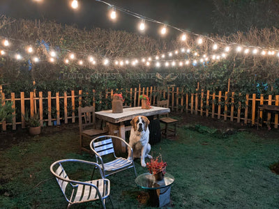 Guirnalda Extensión Luces Led Exterior 7,6m 25 Bombillos Amarillo