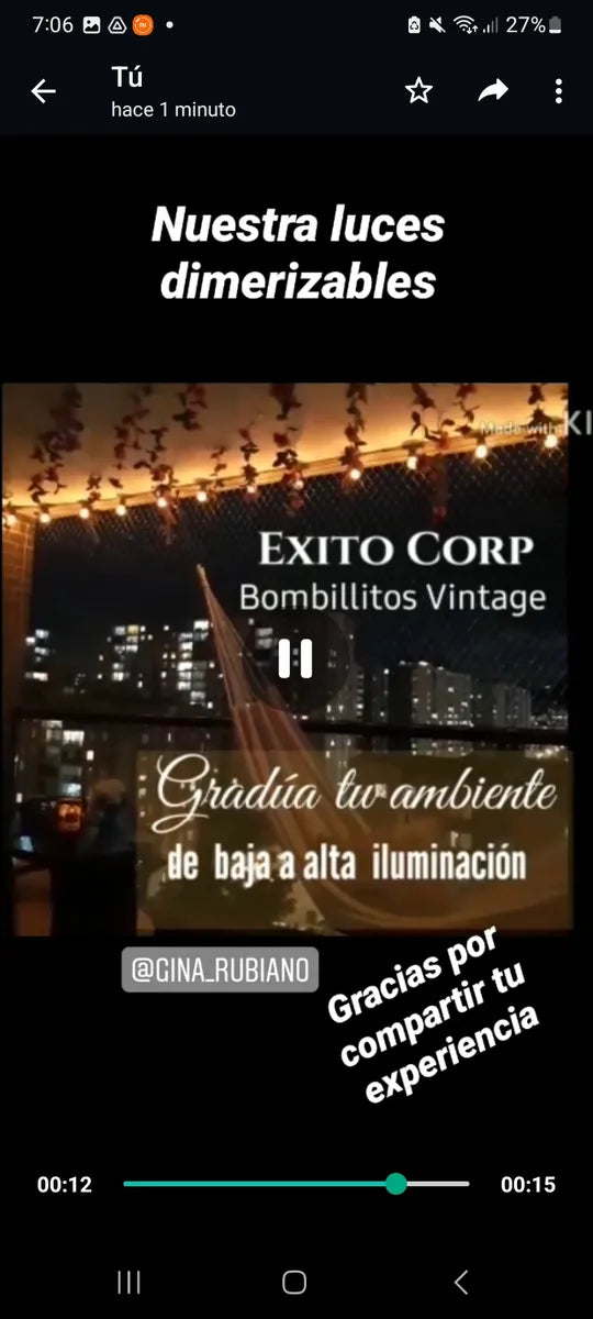 Extension Guirnalda De Luces Y Bombillos Vintage Exteriores