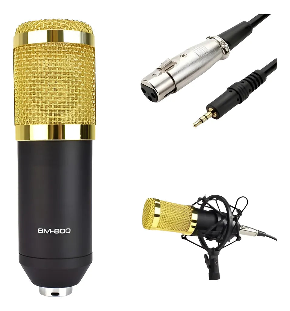 Microfono Condensador Profesional Bm-800 + Tarjeta De Sonido Negro/dorado