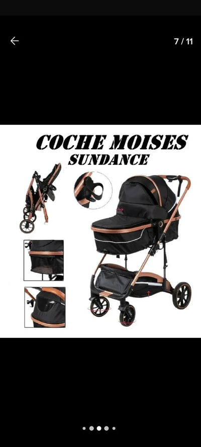 Coche De Paseo Ebaby Moisés Modelo 126 Reclinable Color Rosa Cubrepiés Amortiguación Chasis Dorado