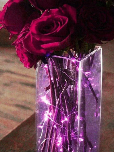 Extensión 20 Luces Navideñas Led Efavormart 72 Pulgadas