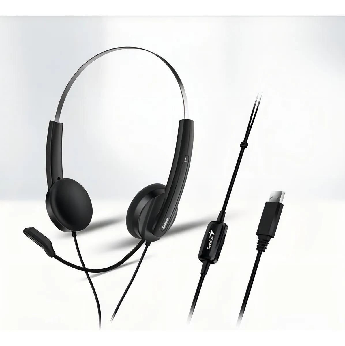 Auriculares Con Micrófono Genius Hs-220u Usb Color Negro