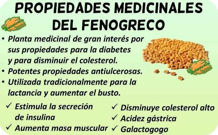 Fenugreek 2000mg 100 Capsulas