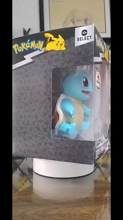Figura Pokemon Select Deluxe Vinyl Pkw3432