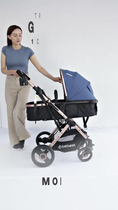 Coche Bebé Moises Gold Lx Bebesit Color Beige