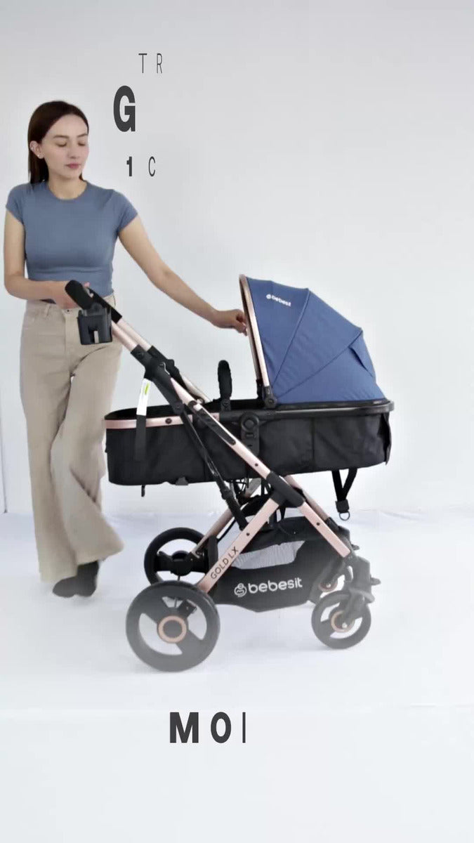 Coche Bebé Moises Gold Lx Bebesit Color Beige