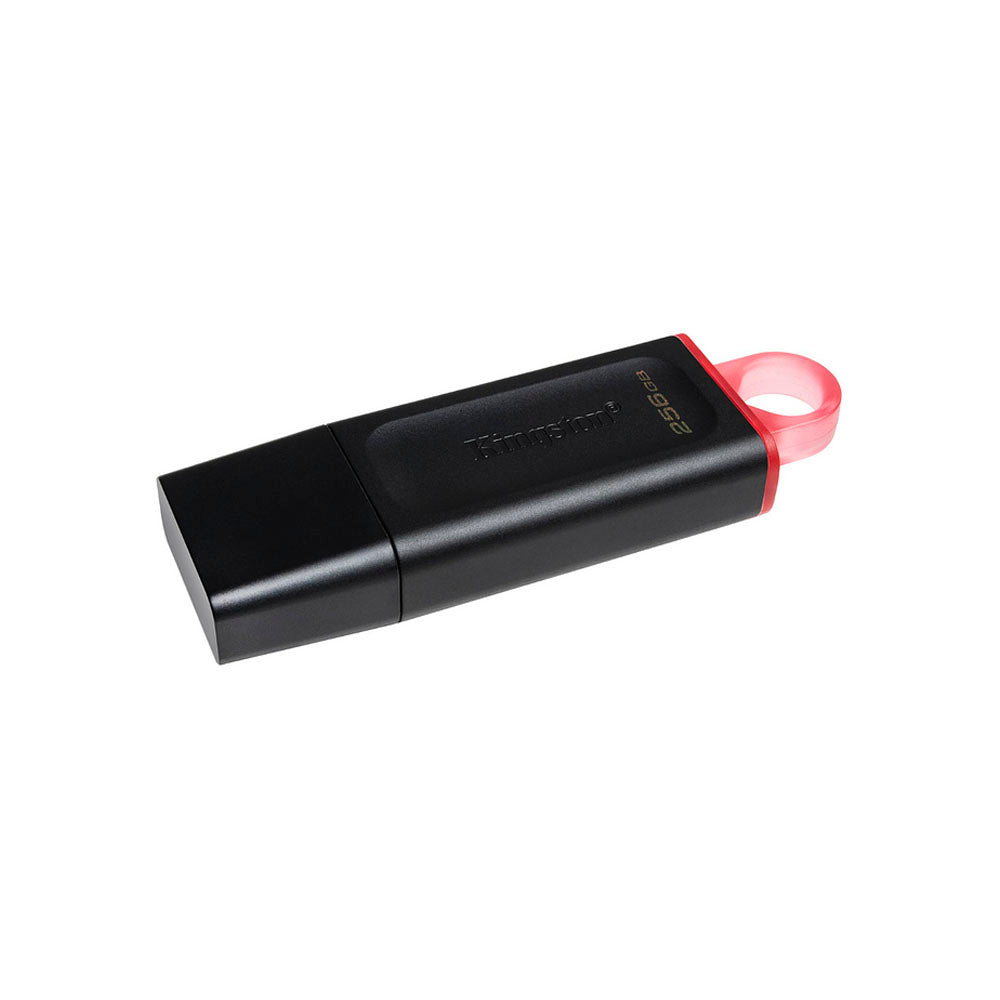 Memoria USB Kingston DataTraveler Exodia USB 3.2 256gb