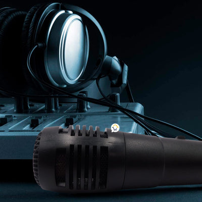 Micrófono Alámbrico Para Parlante Cabina Karaoke VSSM1817