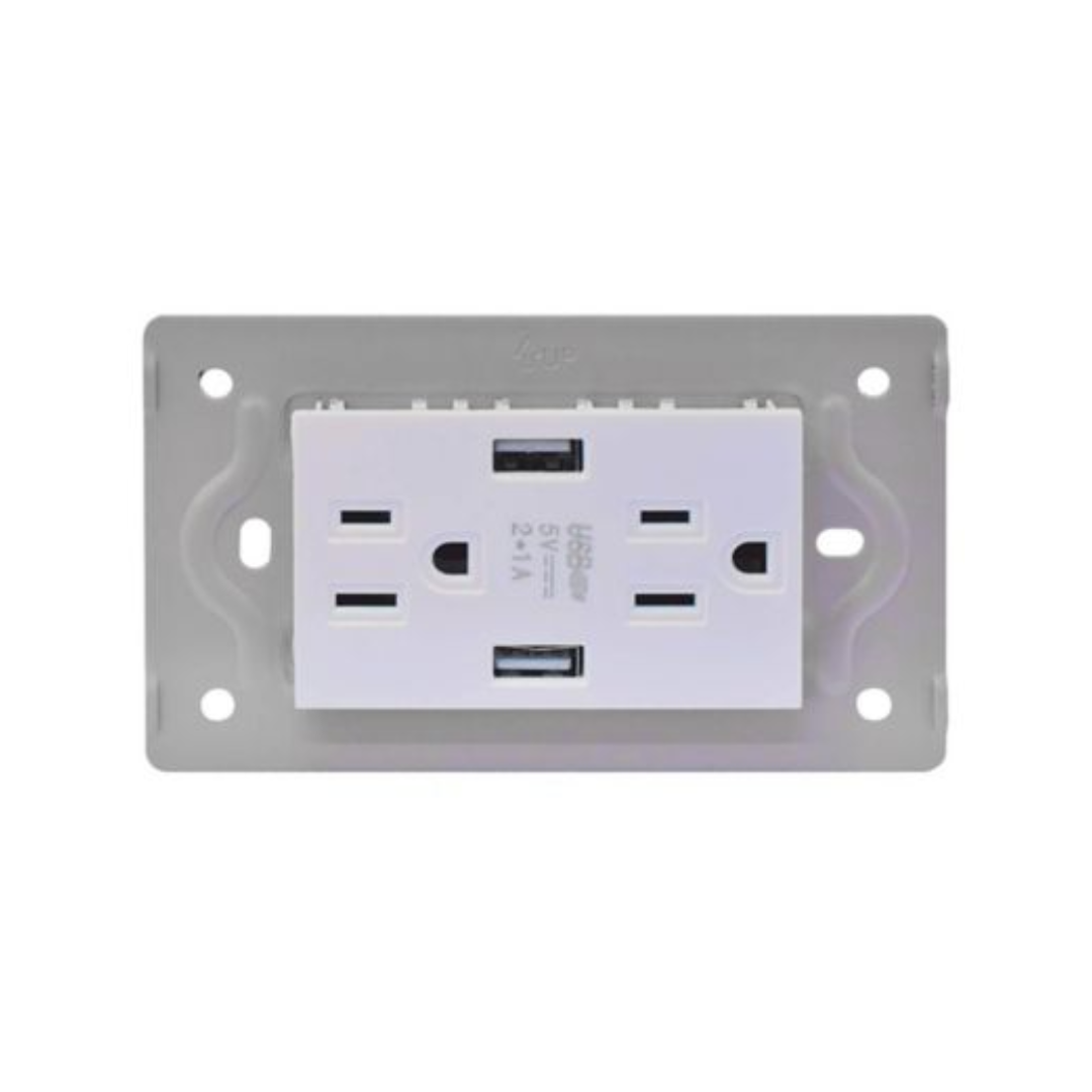 TOMA DOBLE MAS 2 USB LUXOR BLANCA INTERCAMBIABLE SIN TAPA DUKE ENERGY