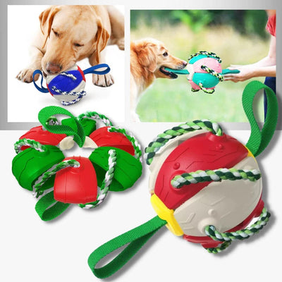 Pelota Frisbee Para Mascotas