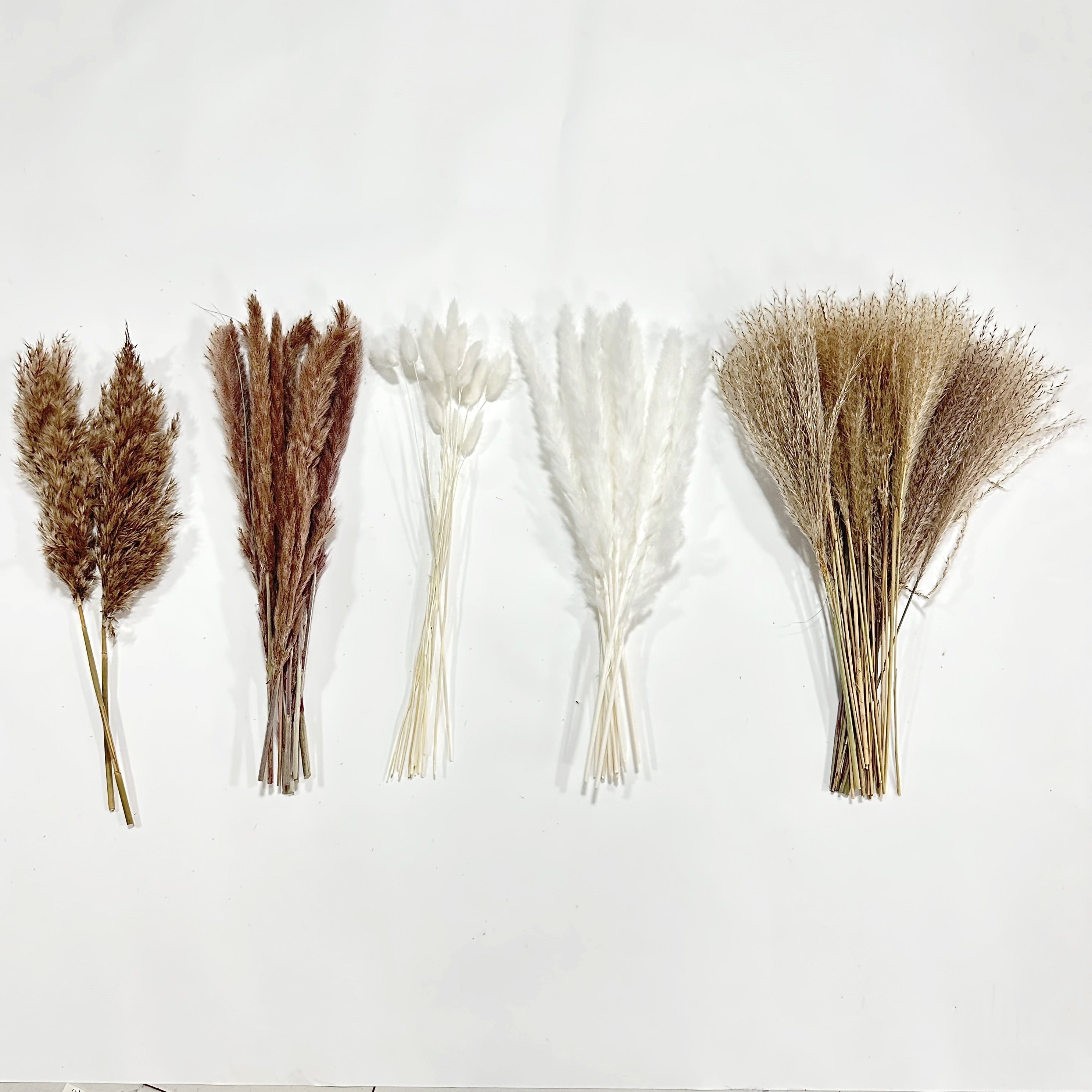 54 pzas. flores secas de pampas, arreglo floral artificial en beige y blanco, decoración para bodas, estilo granja, Navidad, Halloween, centro de mesa boho, arreglos para floreros DIY, accesorios para fotografía, caja de regalo, decoración floral, decora