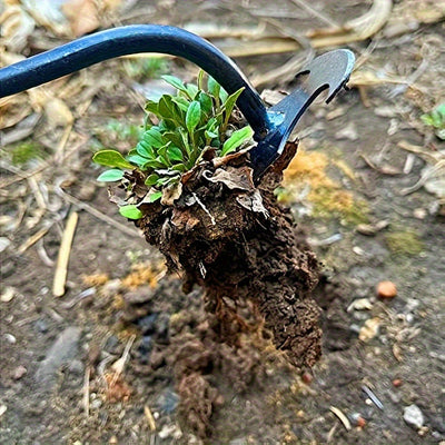 Arrancador de Malezas de Acero de Manganeso Premium - Doble Propósito, Diseño de 4 Dientes para Desbrozar y Jardinería Fácil, Mango Largo Ergonómico, Opciones de 30.0cm / 50.01cm