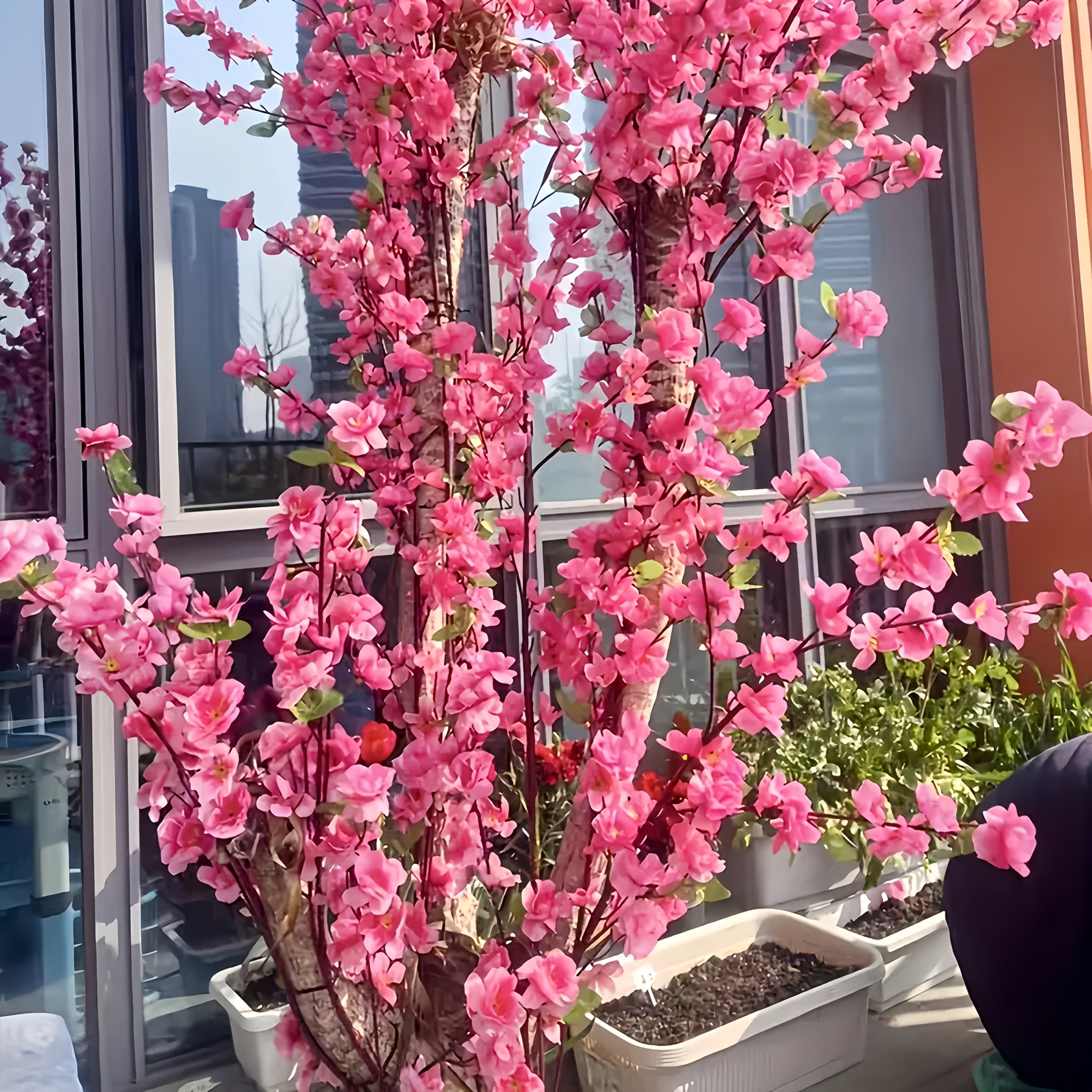 13 paquetes de flores de cerezo artificiales rosas y hojas verdes - Flores plásticas realistas, adecuadas para decoraciones de bodas, jardines, espacios interiores y exteriores y celebraciones estacionales (Día de San Valentín, Pascua, Día de San Patrici