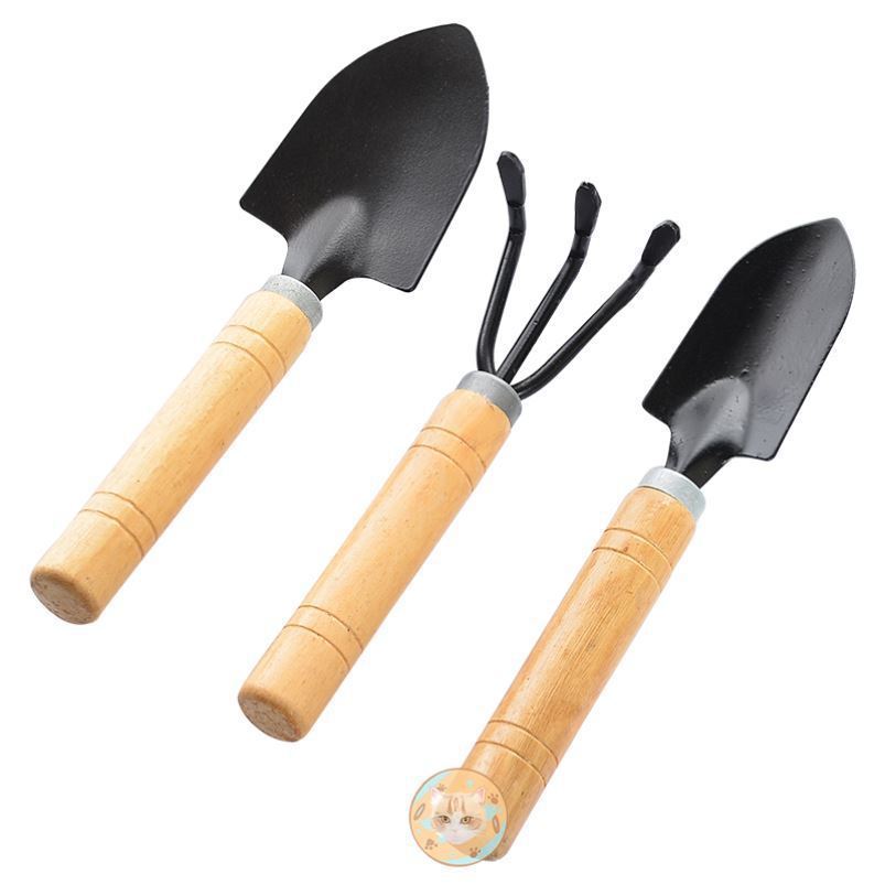 Jardín Botánico de Plantas Suculentas, Conjunto de 3 Piezas, Herramienta para Flores en Macetas para el Hogar con Pala y Rastrillo para Descompactar el Suelo, Adecuado para Jardinería, Jardín, Portátil y Fácil de Usar