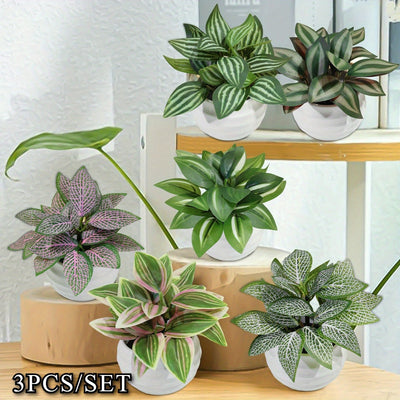 3 Piezas por Set Plantas Artificiales en Maceta Fittonia, Hoja Zebrina, Peperomia, Mini Bonsái Rosa y Verde, Material PE para Decoración de Exteriores, Jardín y Hogar Primavera-Verano