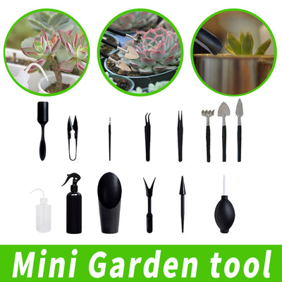 Kit de Cuidado para Bonsáis - Juego Completo de Herramientas de Jardinería para Plantas de Interior, Cactus y Jardines Mágicos - Mangos de Madera Duraderos, Diseño Fácil de Usar, Macetero, Cultivo de Plantas
