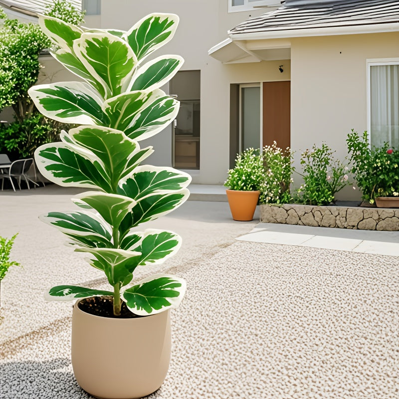 1 pieza de planta artificial decorativa de exterior, maceta de alta gama con 23 hojas grandes, ramas largas, ideal para todas las estaciones en interiores/exteriores, árbol falso tipo bonsái - perfecto para bodas, hoteles, jardines, patios, fotografía, c