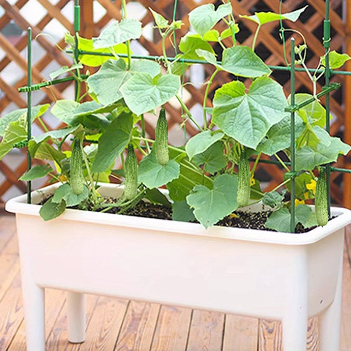 10 piezas de soportes de plantas trepadoras de jardín de alta resistencia - Marco de acero y plástico de PE duradero, no necesita electricidad para vides, pepinos, tomates, guisantes - Sistema de soporte de plantas ahorrador de espacio para interiores y