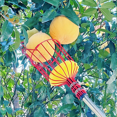 Herramienta de Garra para Recolectar Frutas en Altitud - Cesta de Jardín Metálica para Melocotones, Peras y Naranjas - No Necesita Energía, Esencial para el Mejoramiento del Hogar