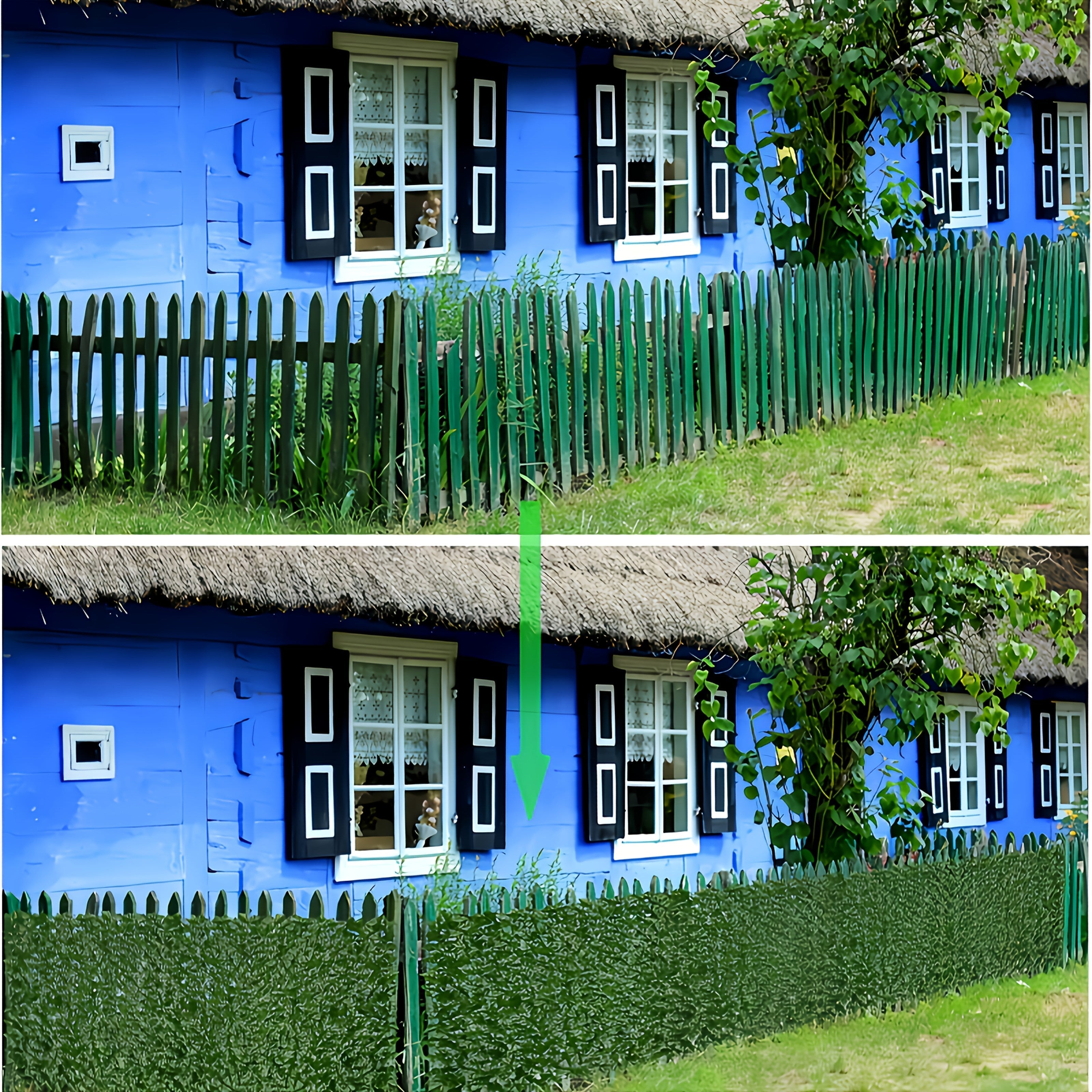 5 Rollos de Pantalla de Hiedra Artificial para Privacidad, Panel Decorativo de 500x50cm, Cobertura Duradera y Fácil Mantenimiento para Patio, Balcón, Jardín o Interior/Exterior - Exclusivo para Residentes de Apartamentos, Hoja Verde Lujosa a Prueba de In