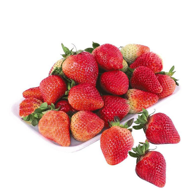 FRESA JUMBO