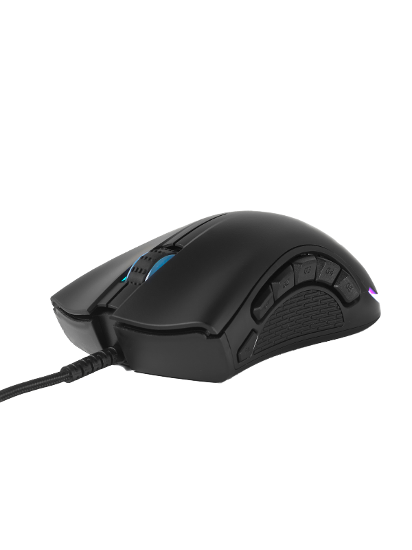 Mouse VSG CYBORG